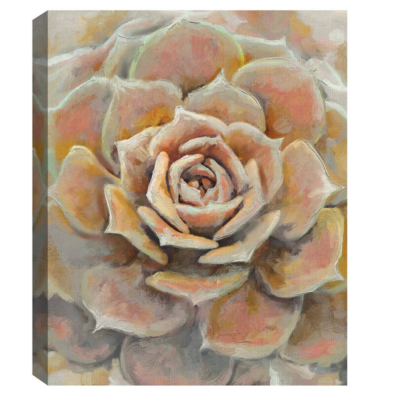 Desert Bloom by Studio Arts Canvas Art Print