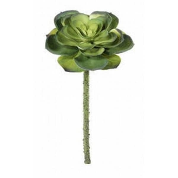 CE0342-GR 11.5 in. Echeveria Pick Green- Case of 24
