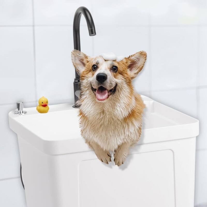 Freestanding Plastic Utility Sink with Stainless Steel Faucet