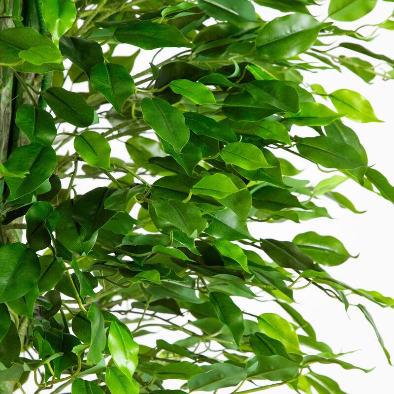 6.5-ft UV Resistant Artificial Ficus Tree (Indoor/Outdoor) - Green