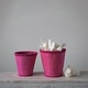 preview thumbnail 5 of 3, Hand-Woven Seagrass Baskets with Pattern, Fuchsia, Set of 2