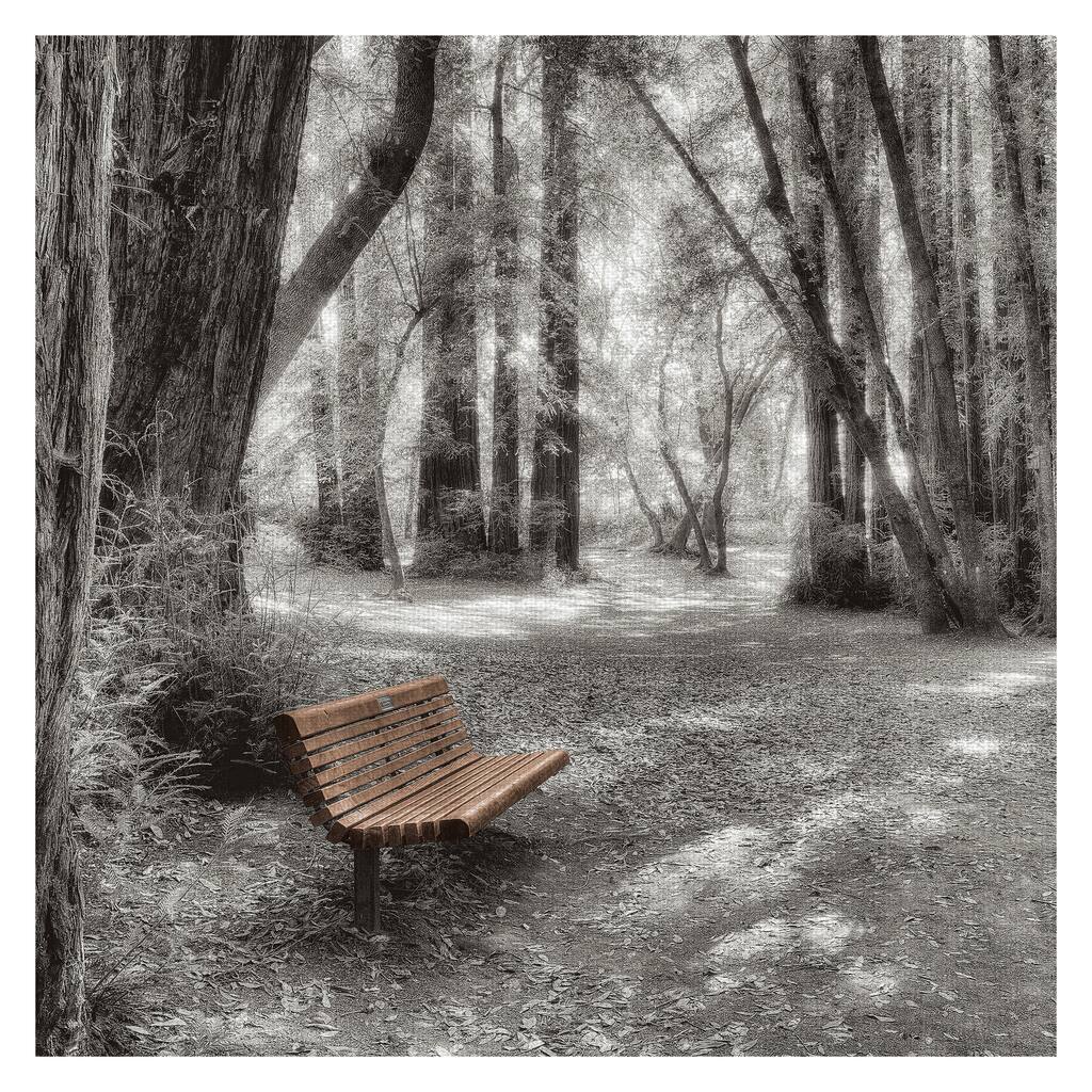 Old Mill Park by Alan Blaustein Canvas Art Print