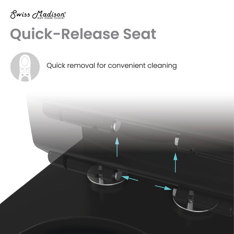 Tours One-Piece Elongated Toilet Vortex Dual-Flush 1.1/1.6 Gpf, Matte Black - 29.2" x 14.95" 28.4"