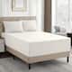 Option Ivory