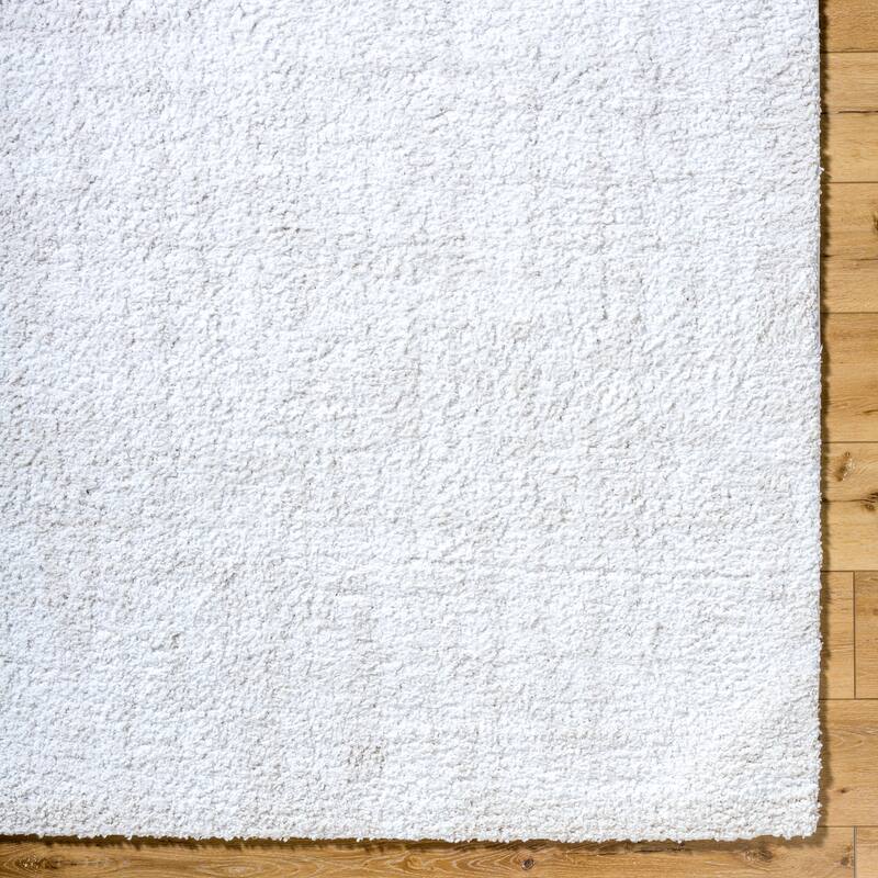 Livabliss Bohemian & Eclectic Sacramento Shag Ombre Area Rug
