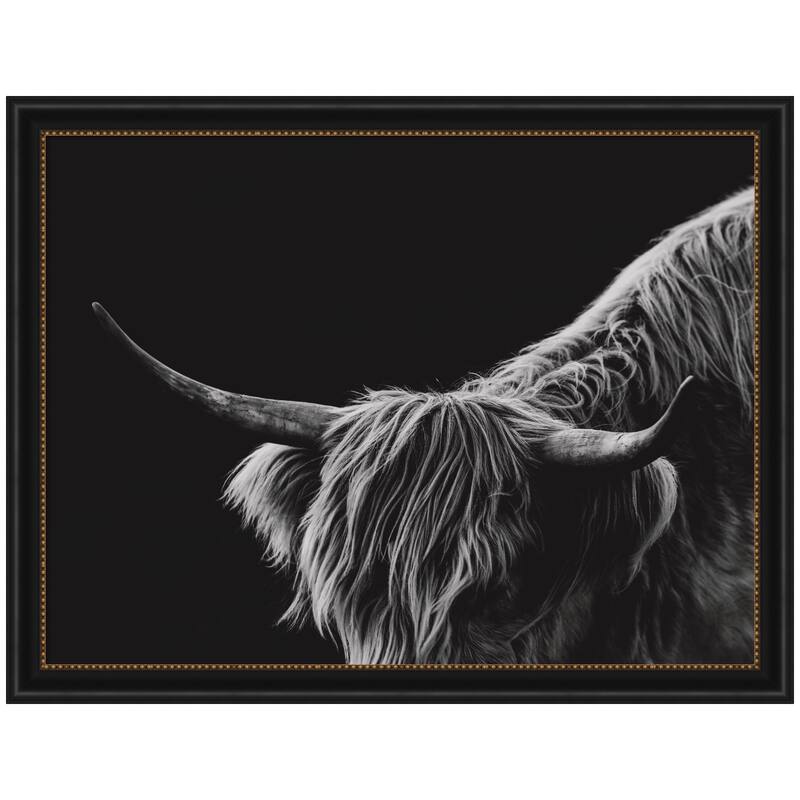 Kate and Laurel Scottish Highland No. 6 by Crystal Lynn Collins Framed Wall Art Print - 44 x 34 - Black