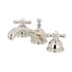 Option Polished Nickel
