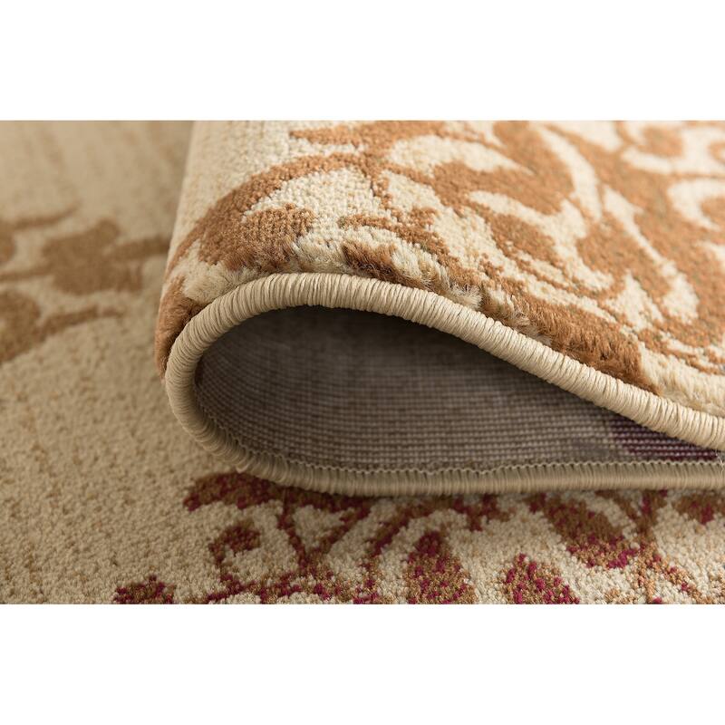 Infinity Transitional Oriental Indoor Area Rug