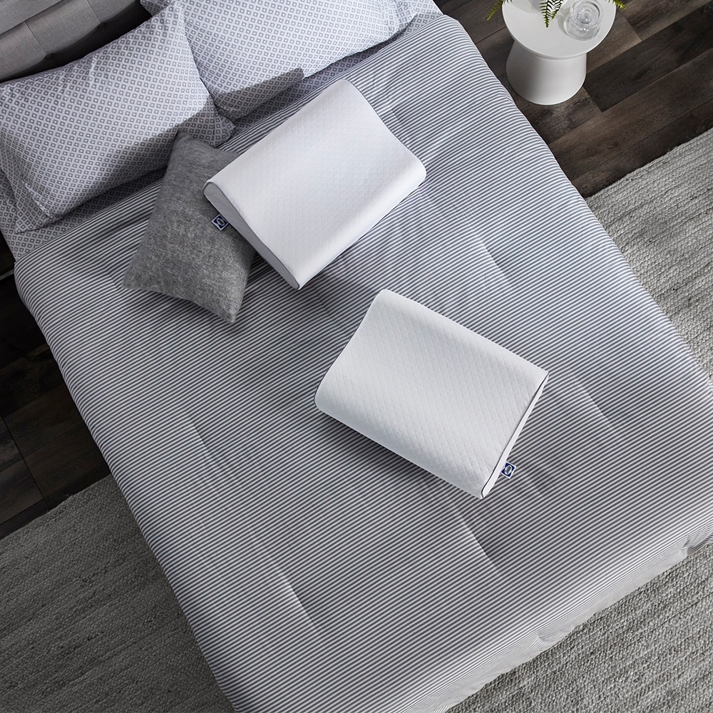 Sealy 2025 contour pillow