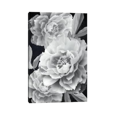 iCanvas "Black And White Peonies" by Heidi Kuntz Canvas Print