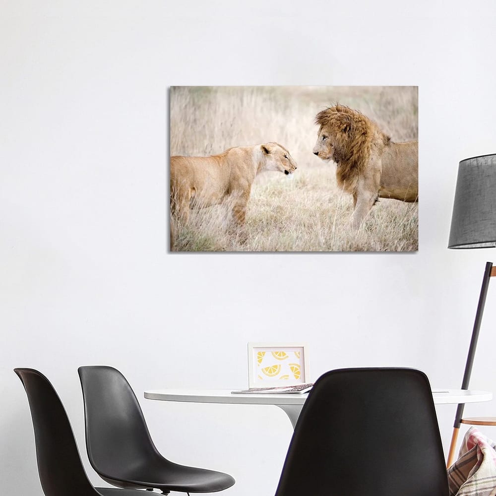 iCanvas "Lion And A Lioness Standing Face To Face In A Forest, Ngorongoro Crater, Tanzania" by Panoramic Images Canvas Print