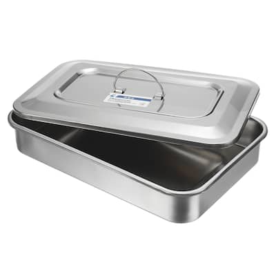 Stainless Steel Tray with Lid Handle, Lab Instrument Organizer Tool - Silver - 30x20cm