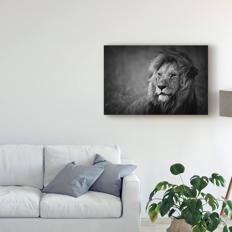 Mohammed Alnaser 'Regal Lion' Canvas Art