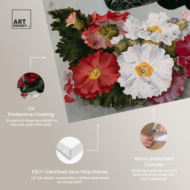 Cyclamens Canvas by Art Remedy, Gallery Wrapped