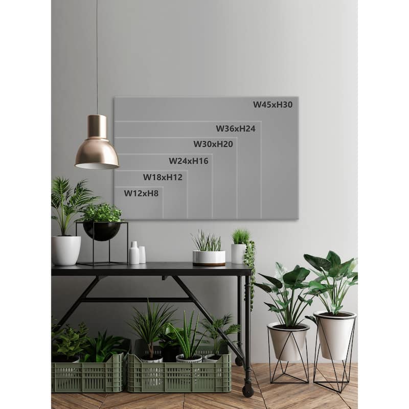 Her Wings Unfolded Framed Print