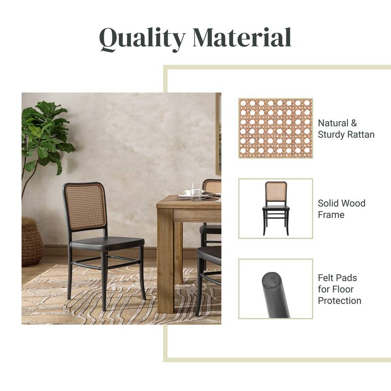 NPD Furniture Sonora Rattan Dining Side Chair Wood Seat