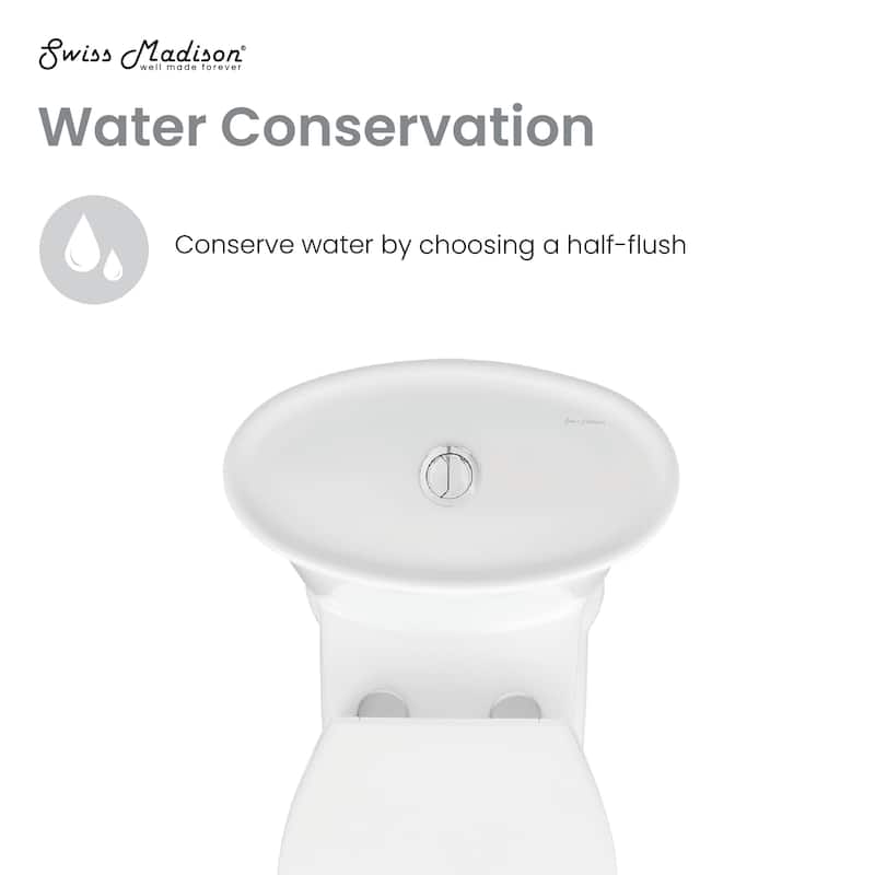 Celeste One-Piece Elongated Toilet Dual-Flush 1.1/1.6 Gpf - 30.7" x 16.25" 30.25"