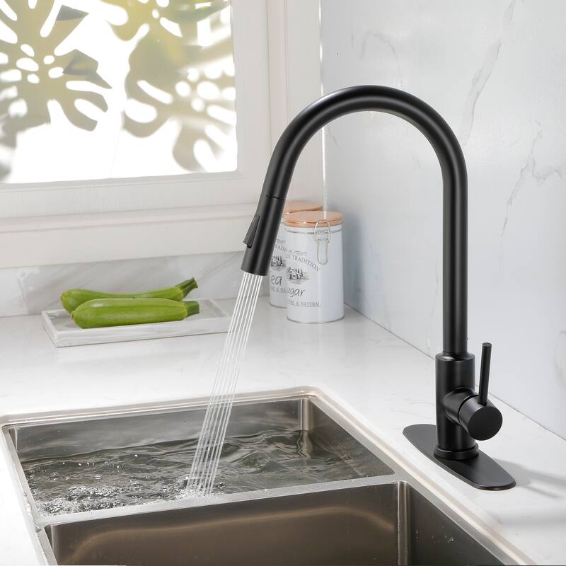 2-Function 1-Handle Pulldown Kitchen Faucet