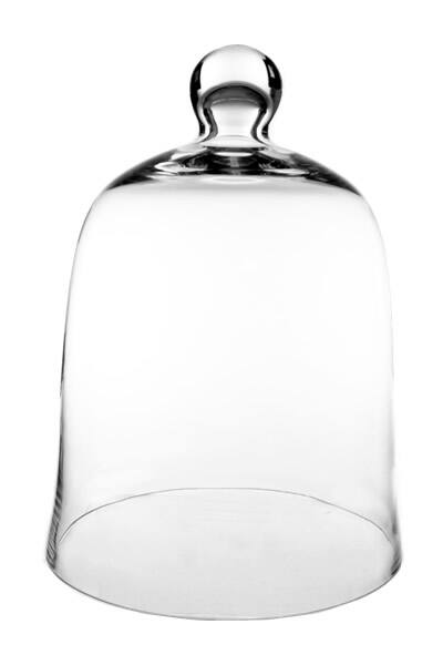 Cys Glass Cloche Bell Jar Plant Terrarium 1 Pc Overstock 11718879