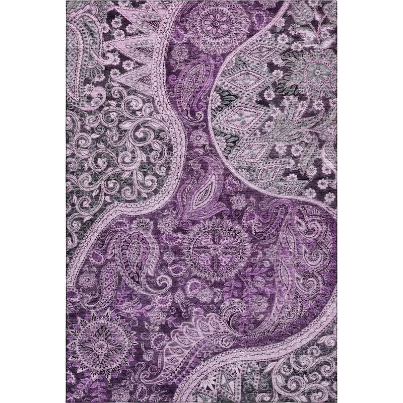 Premium Washable Super Soft Modern Paisley Mayfield Rug