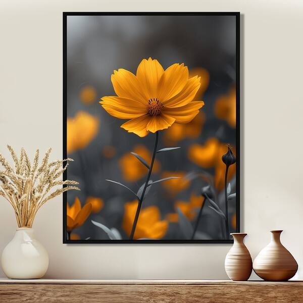 Marigold: Summer in Sunshine Marigold: Summer in Sunshine
