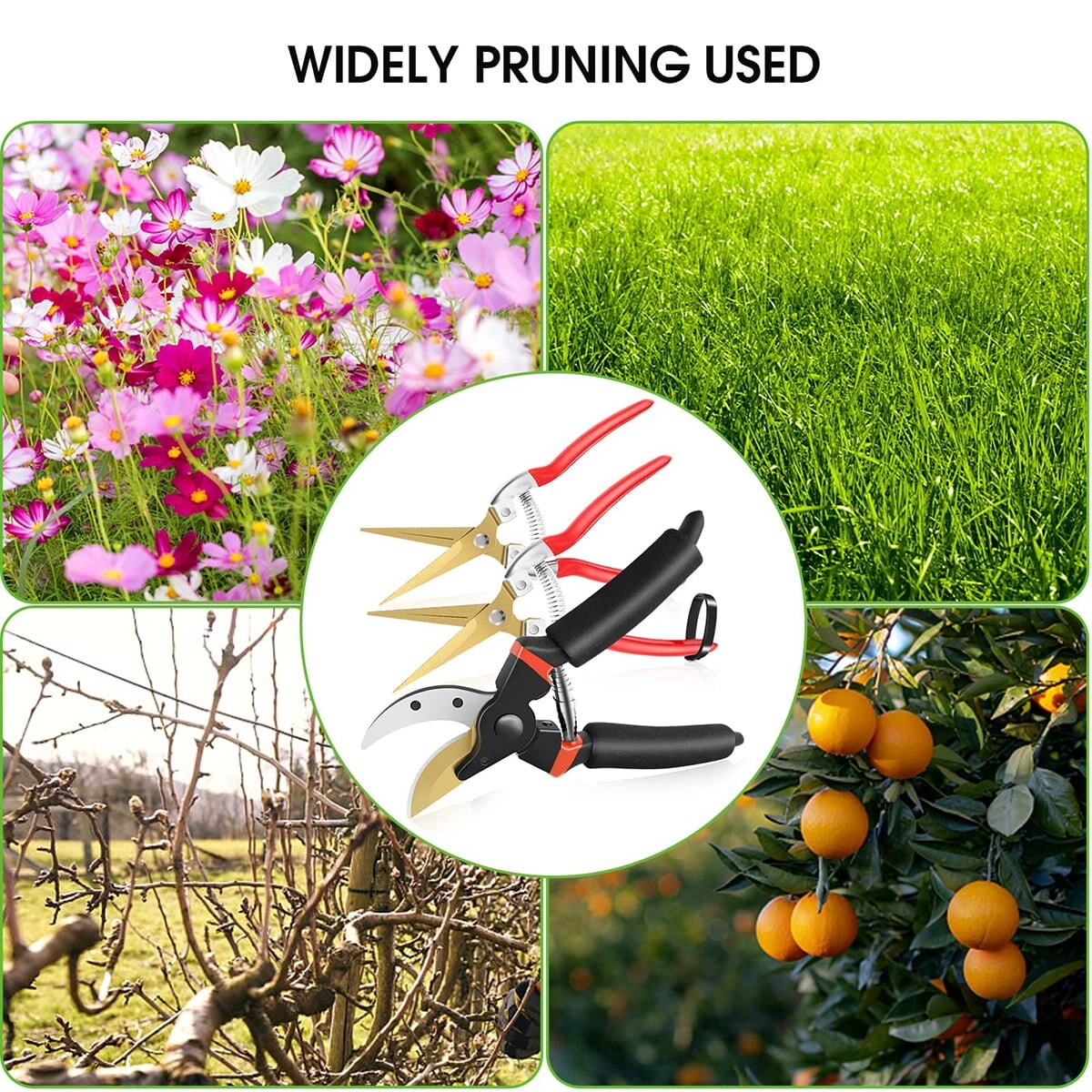 https://ak1.ostkcdn.com/images/products/is/images/direct/a847a918f05396f7f33df37795bfc25971f15a9e/3-Pack-Garden-Pruning-Shears-Stainless-Steel-Blades-Handheld-Pruners.jpg