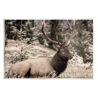 Stupell Elk in Nature Photography Wall Plaque Art Kim Allen - Bed Bath ...
