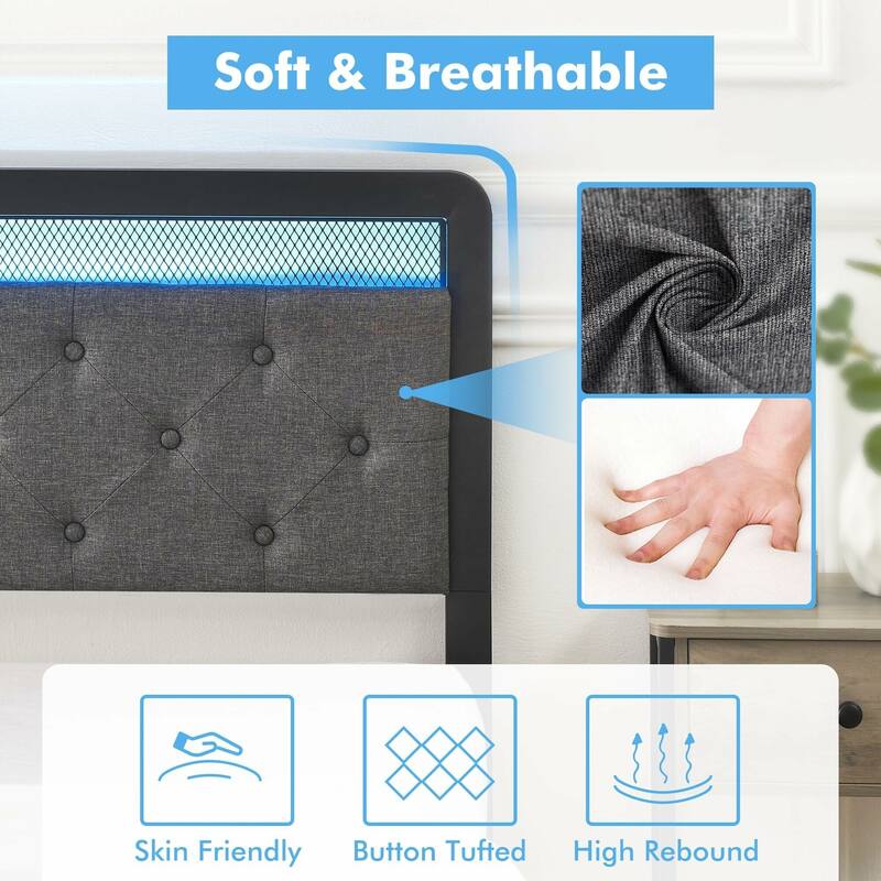 Bed Frame with LED Light and 2 Storage Drawers