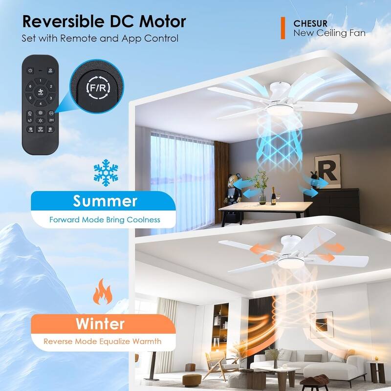 52 Inch Ceiling Fan with Light and Remote,5 Dual Side Blades 3CCT Dimmiable LED for Living Room Bedroom Kitchen