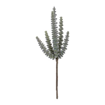 Succulent Plant Pick (Set of 6)