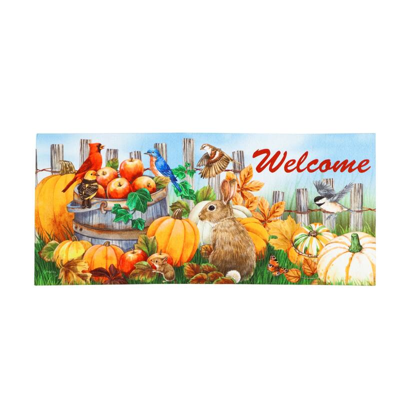 Sassafras Fall Holiday Set of 5 Door Mats with Rubber Display Frame, Collection #2 - Multi-Color