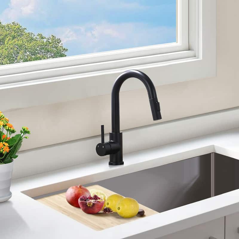 Topcraft Single Handle Stainless Steel Bar Faucet with Sprayer