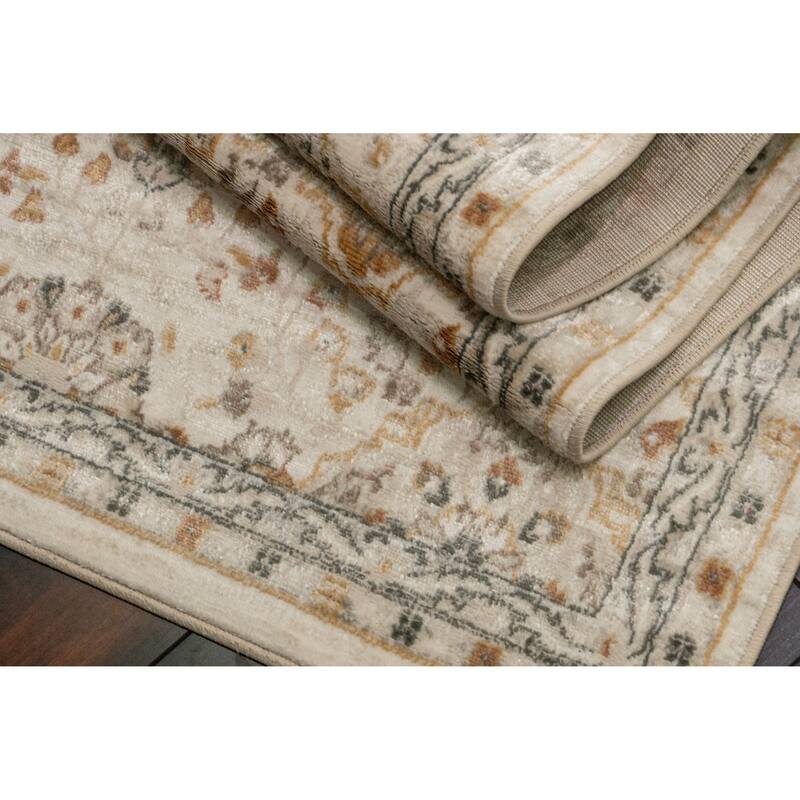 Dynamic Rugs Charlotte Traditional Area Rug