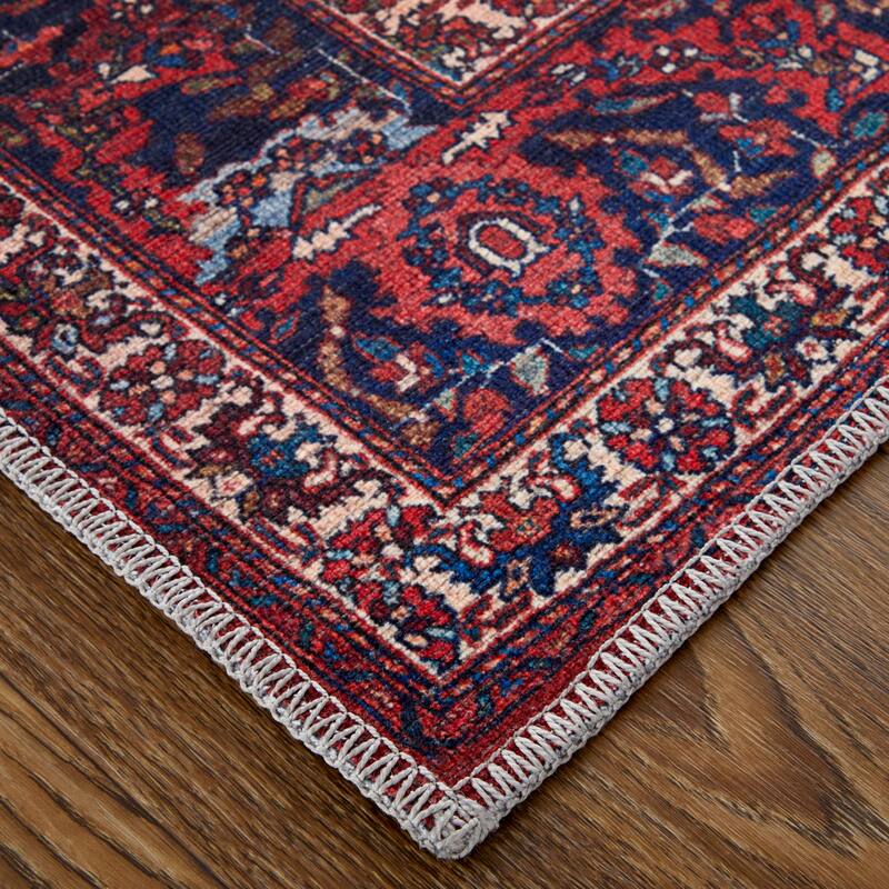 Birchlawn R39HD Medallion Transitional Area Rug