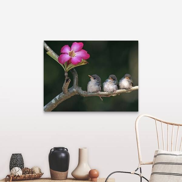 Shop Cute Small Birds On Tree Branch Looking At Pink Flower