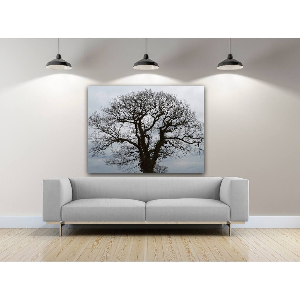 New Beginning Tree Photography Canvas Art