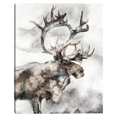 Wild Essence Light by Frank Parson Canvas Art Print
