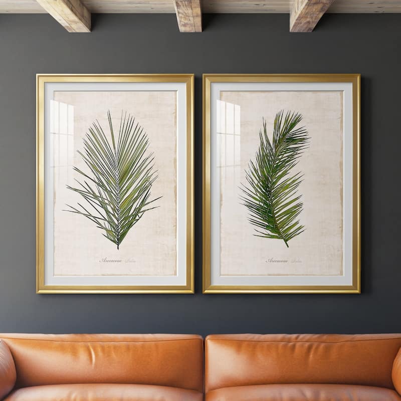 Palm Botanical I Premium Framed Print - Ready to Hang