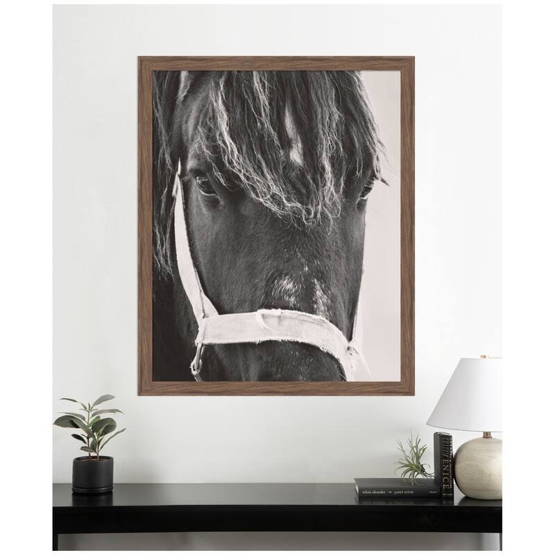 Kate and Laurel Black Horse by Emiko and Mark Franzen F2 Images Framed Wall Art Print