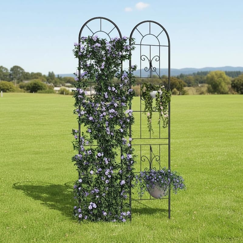 5.5ft Tall Metal Trellis, for Flowers, Vines & Vegetables