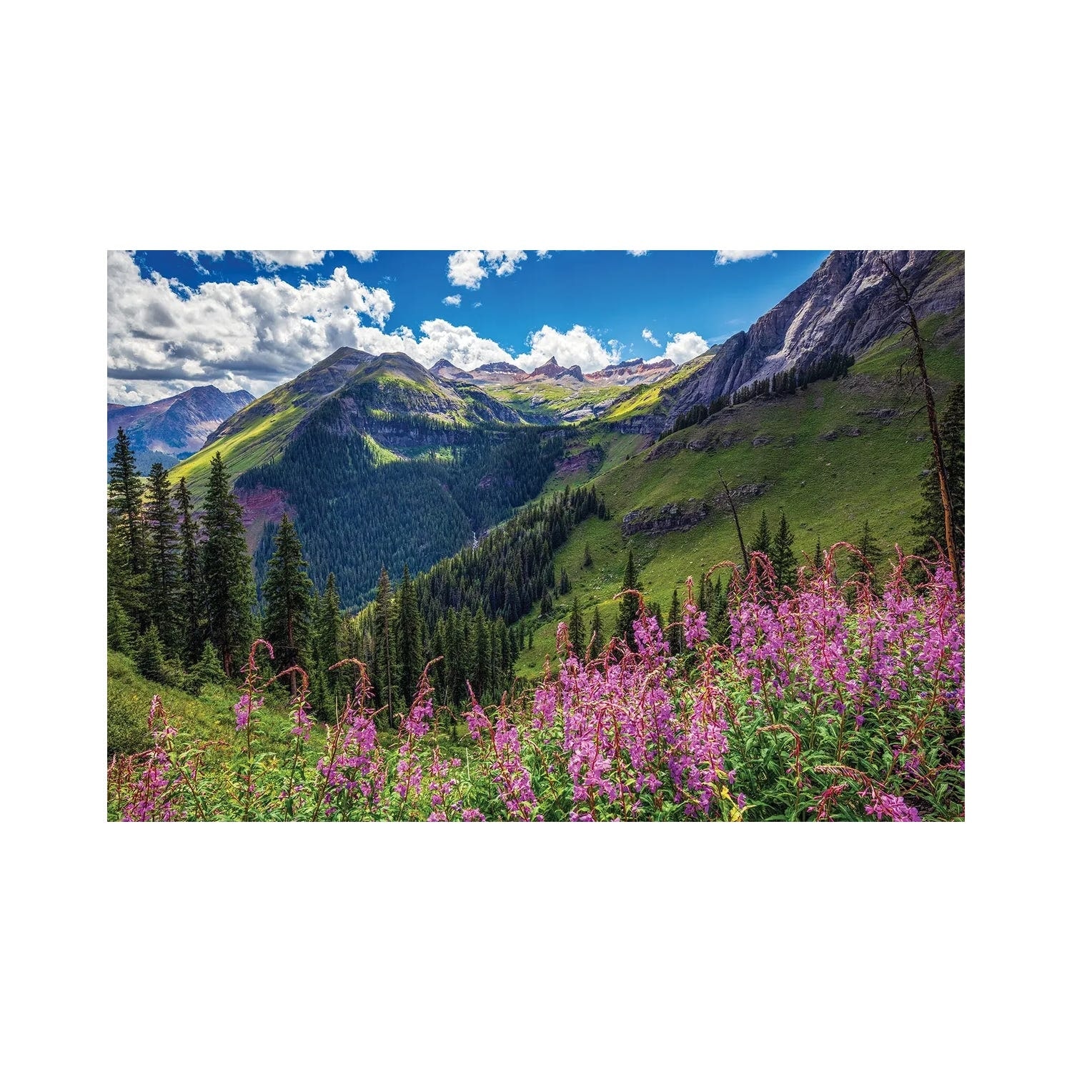 "San Juan Mountain Wildflowers Landscape - Ice Lakes Basin Summer Scenery" by Daniel Forster Canvas Print
