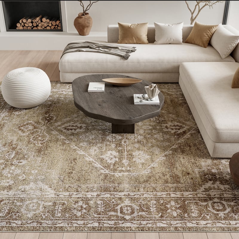 Nourison Astra Machine Washable Distressed Area Rug