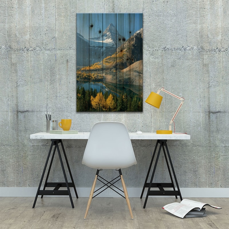 Larch Trees In Autumn Below Mount Assiniboine With Sunburst Lake, British Columbia, Canada Print On Wood by Kevin Schafer
