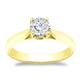 Option Yellow
