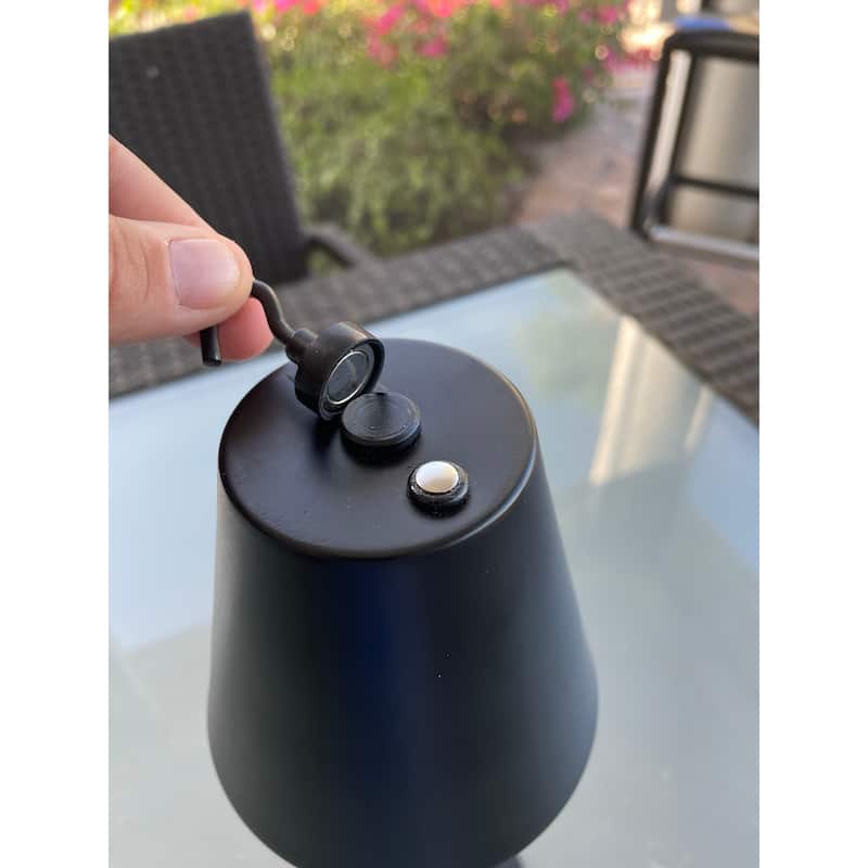 Newport 4 in 1 Patio Lamp w/Bug Deterrent Feature