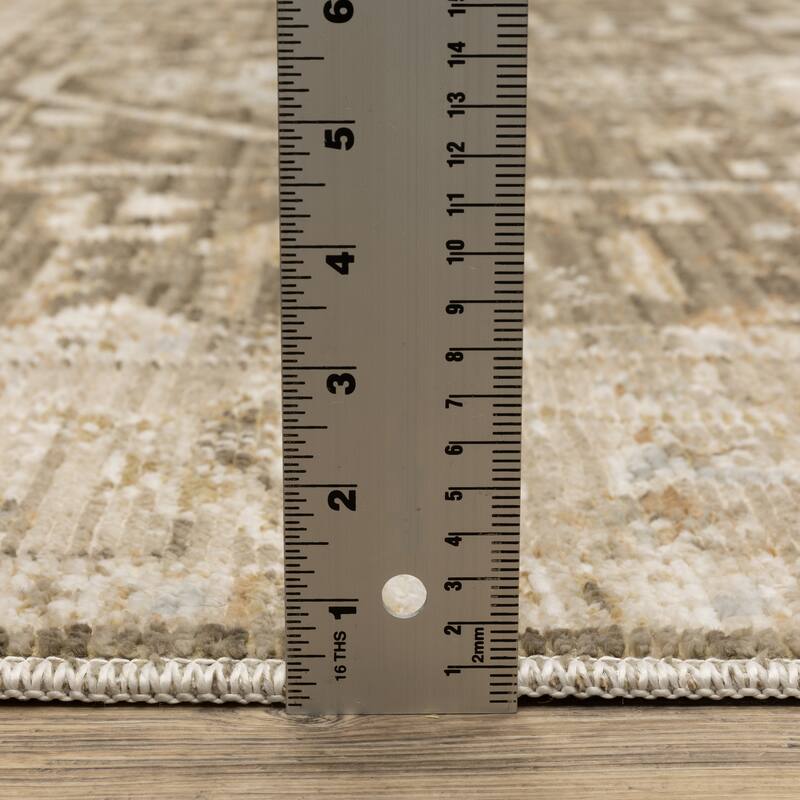 Style Haven Lucia Vintage Center Medallion Area Rug