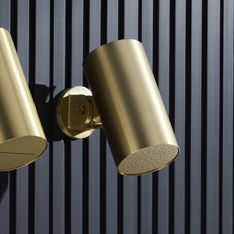 Wall-mounted adjustable showerhead