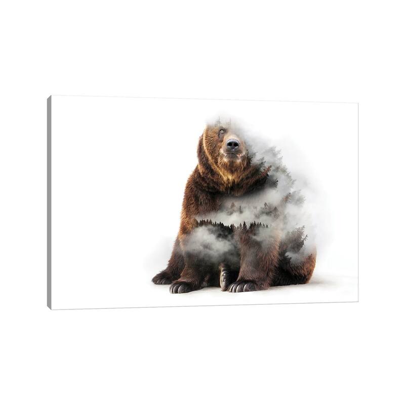 iCanvas "Nature Bear" by Paul Haag Canvas Print