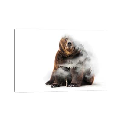 iCanvas "Nature Bear" by Paul Haag Canvas Print