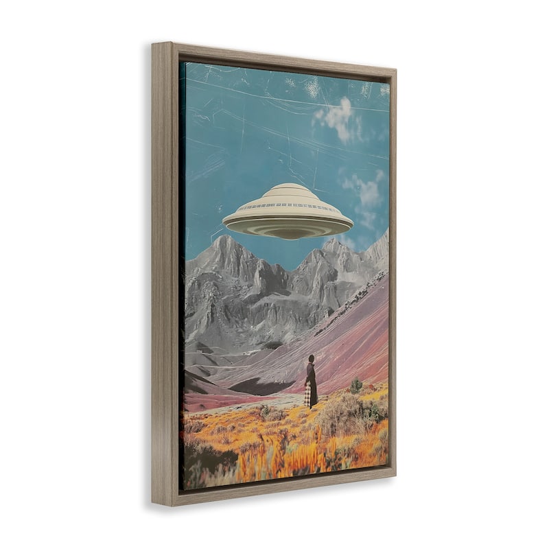 Stupell UFO over Mountain Valley Framed Floater Canvas Wall Art Design By Wumples